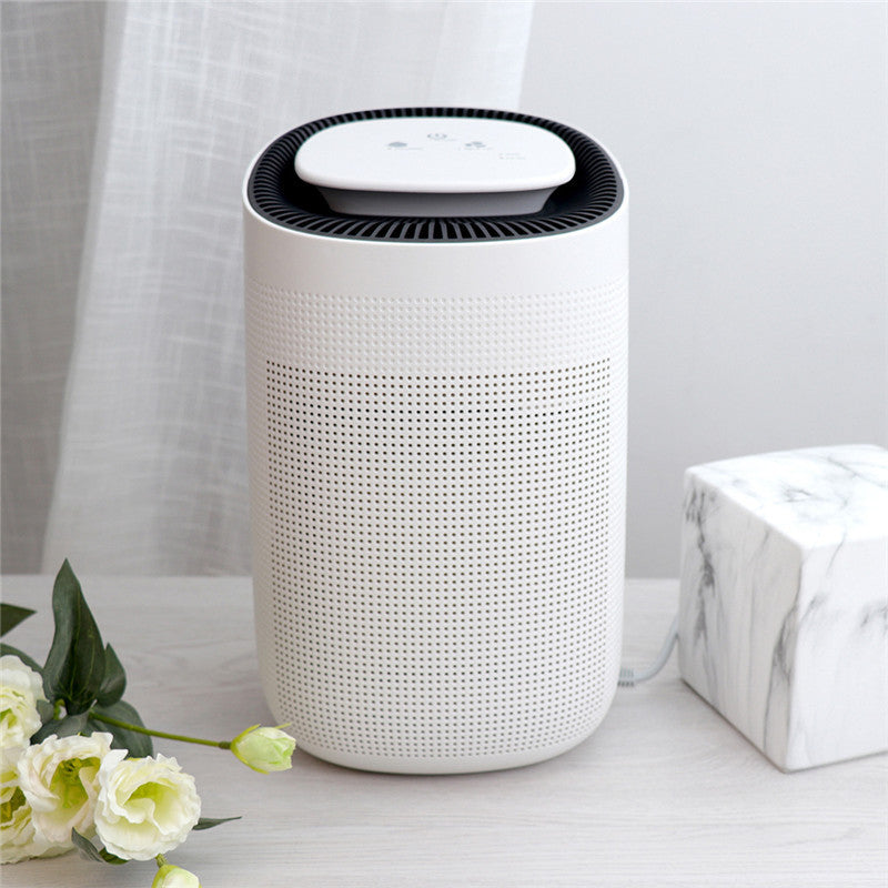 Home Fashion Small Air Purification Dehumidifier