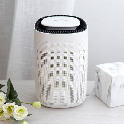 Home Fashion Small Air Purification Dehumidifier